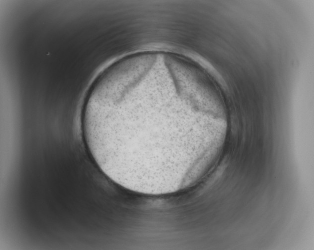 X0000101651230200808071108