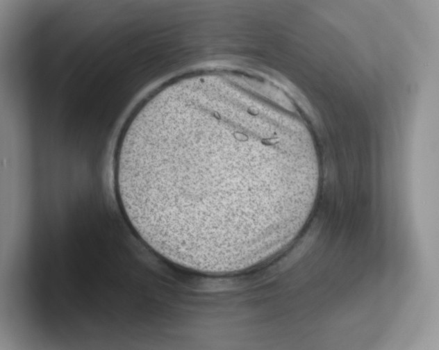 X0000101651232200808071108