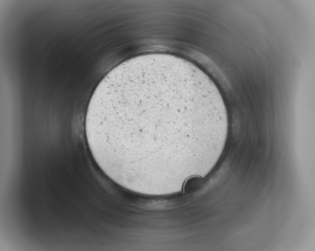 X0000101651233200808071108