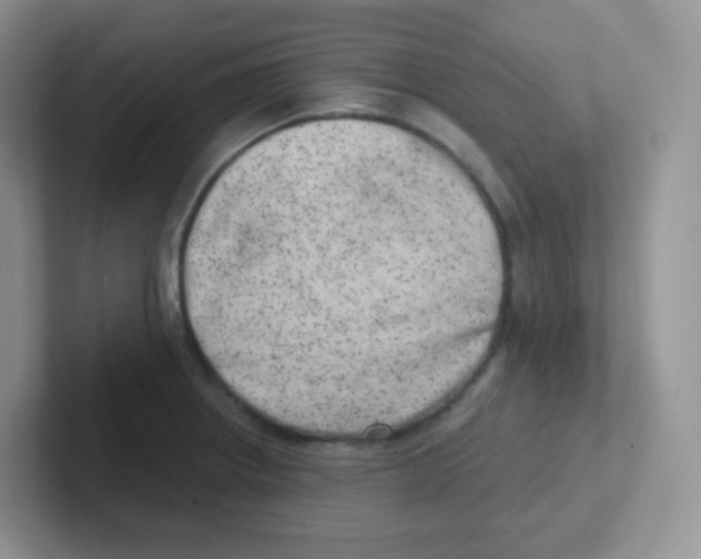 X0000101651234200808071108