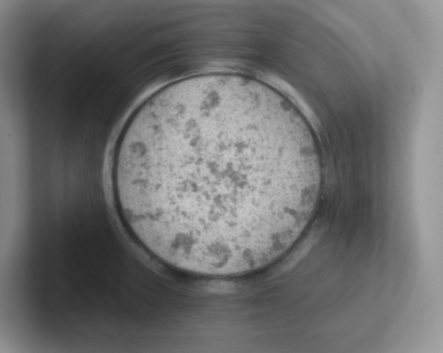 X0000101651235200808071108