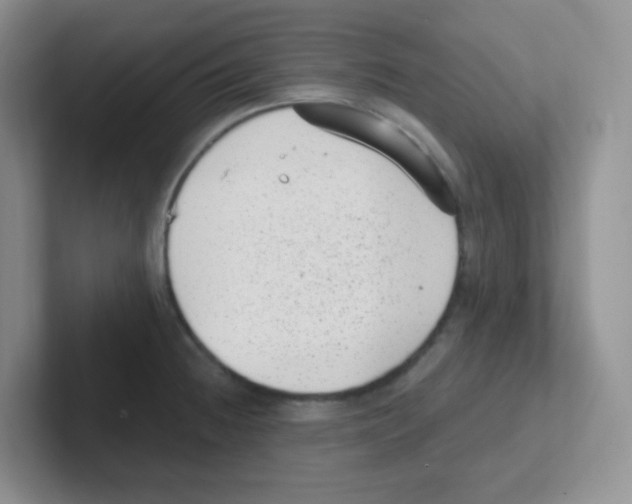 X0000101651236200808071108