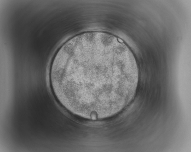X0000101651237200808071108