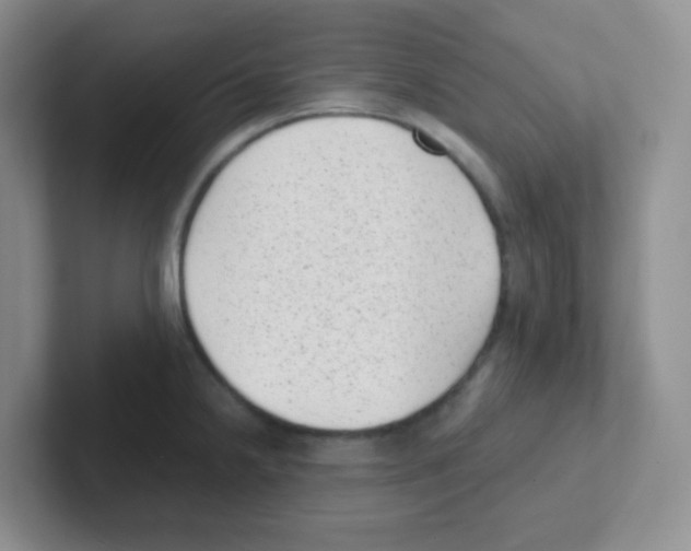 X0000101651238200808071108