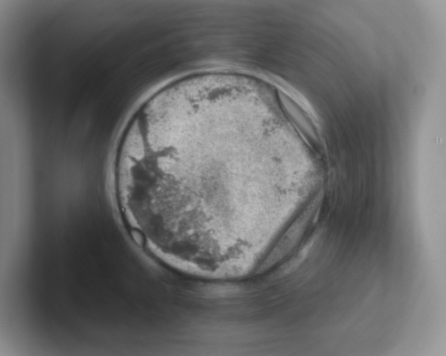 X0000101651239200808071108