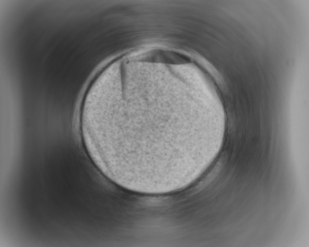 X0000101651240200808071108
