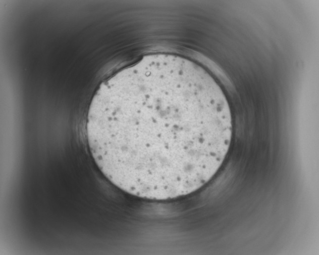 X0000101651241200808071108