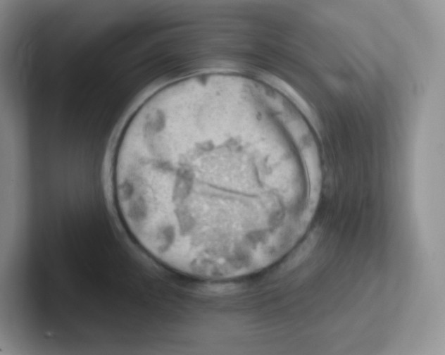 X0000101651243200808071108