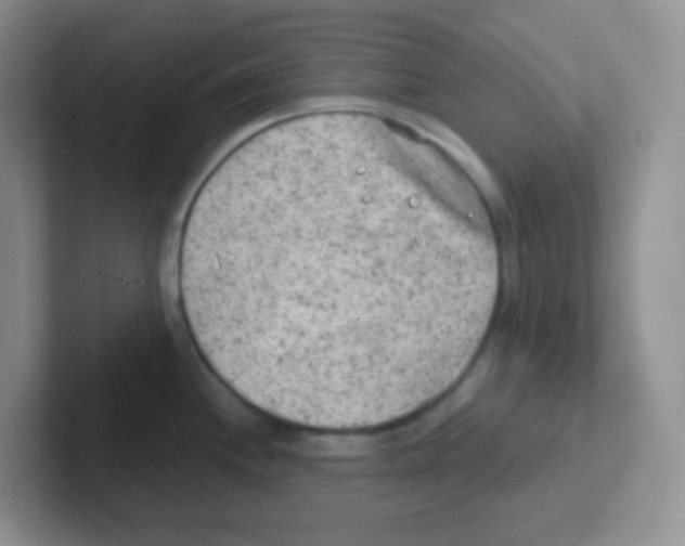 X0000101651244200808071108