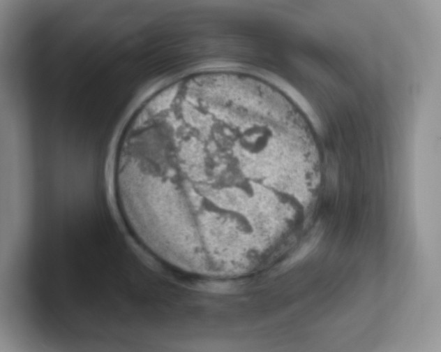 X0000101651245200808071108