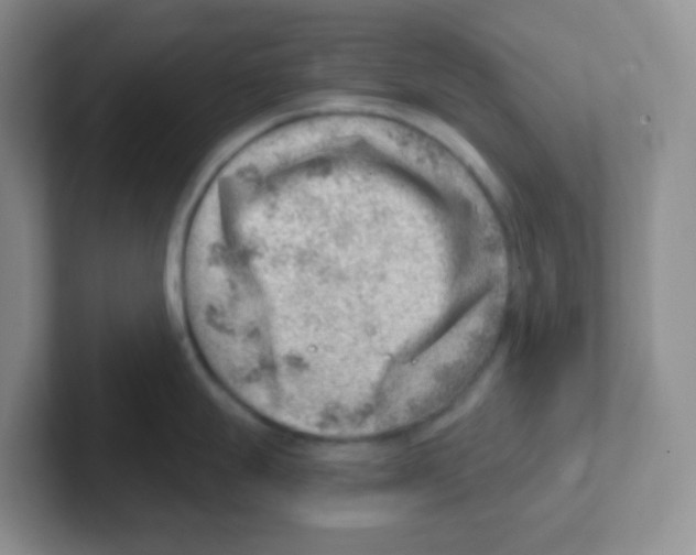 X0000101651247200808071108