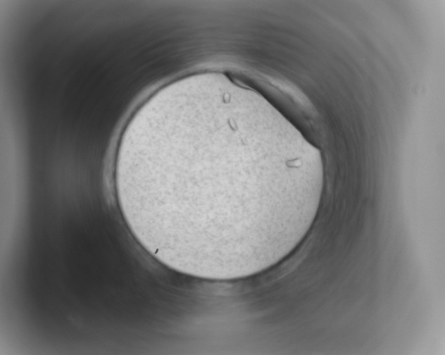 X0000101651248200808071108