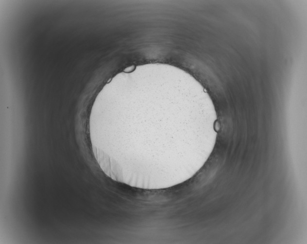 X0000101651249200808071107