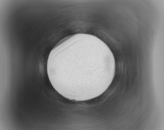X0000101651250200808071107