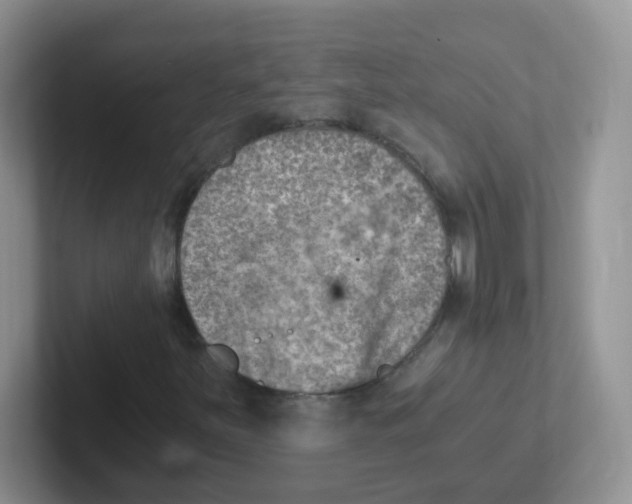 X0000101651251200808071107
