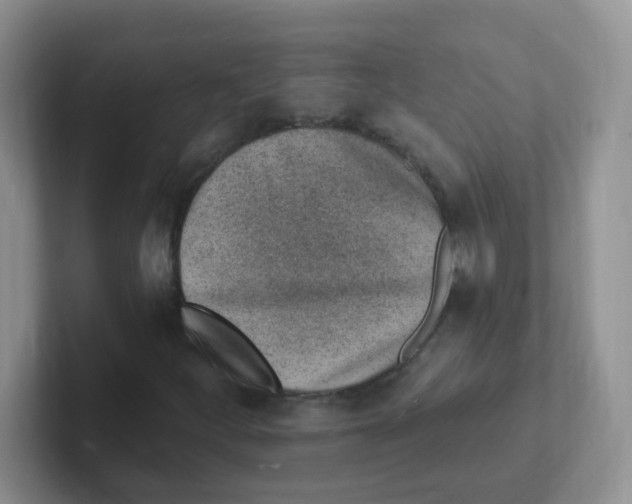 X0000101651252200808071107
