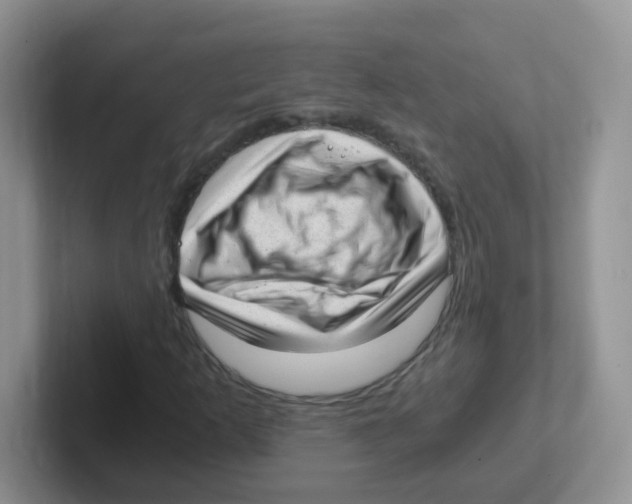 X0000101651253200808071107