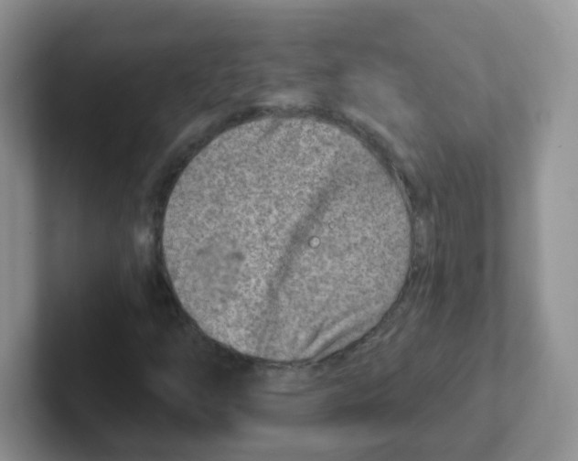 X0000101651254200808071107