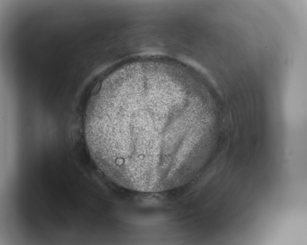 X0000101651255200808071107