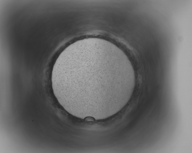 X0000101651256200808071107