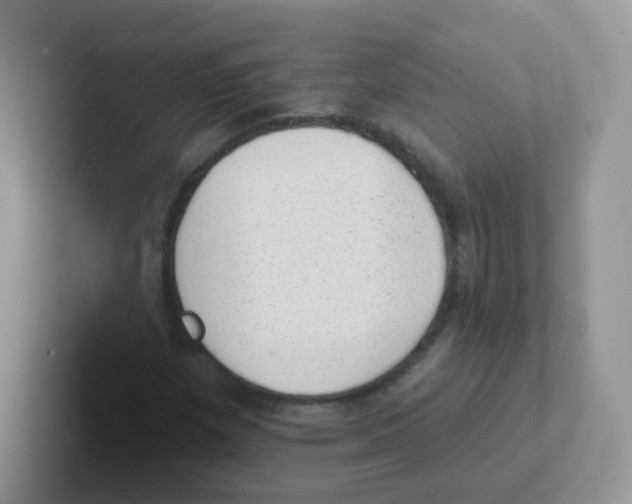 X0000101651257200808071107