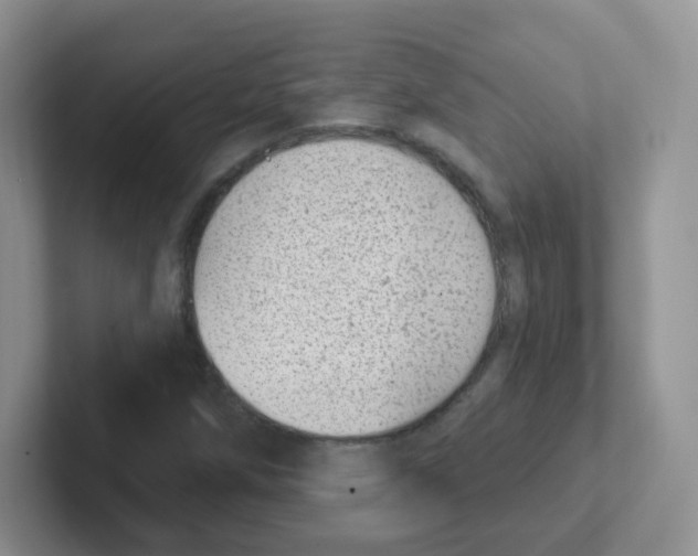 X0000101651258200808071107