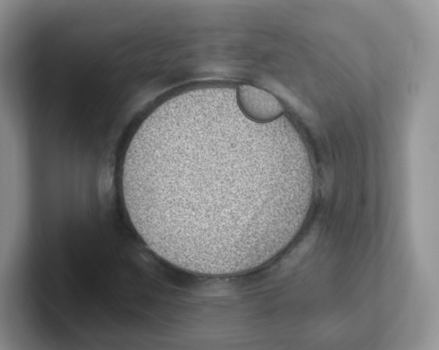 X0000101651259200808071107