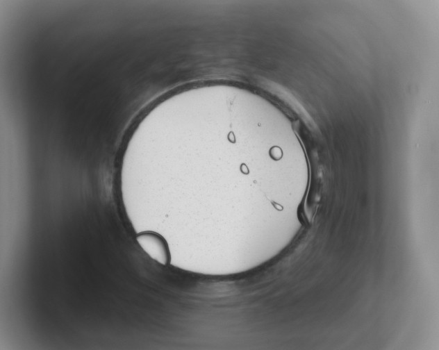X0000101651260200808071107