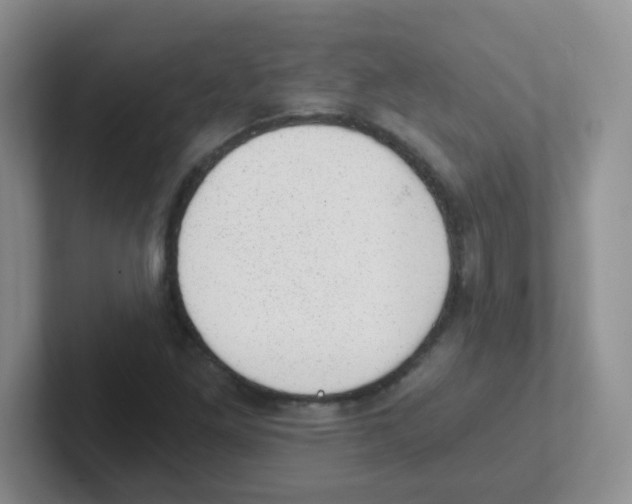 X0000101651261200808071107