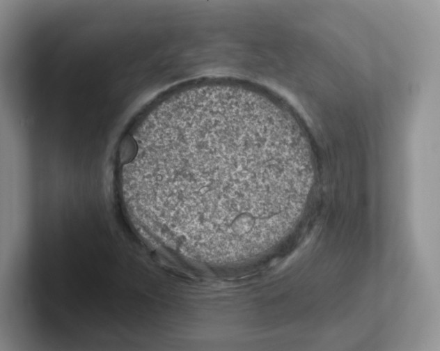 X0000101651263200808071107