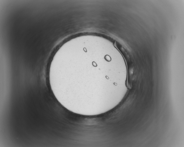 X0000101651264200808071107