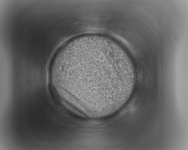 X0000101651267200808071107