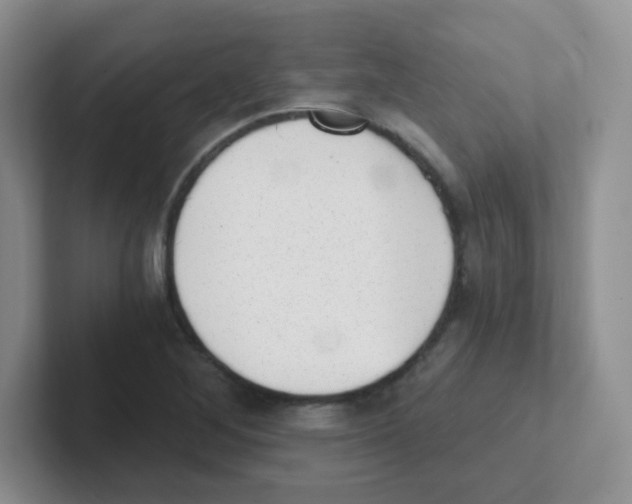 X0000101651268200808071107