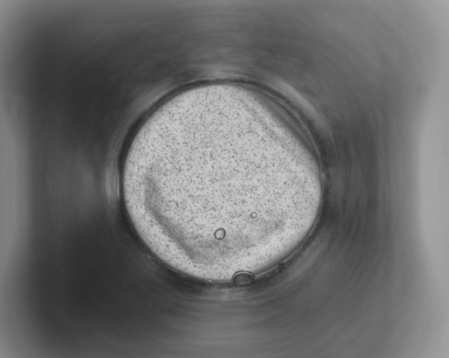 X0000101651269200808071107
