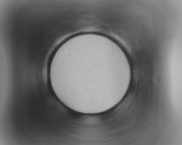 X0000101651270200808071107