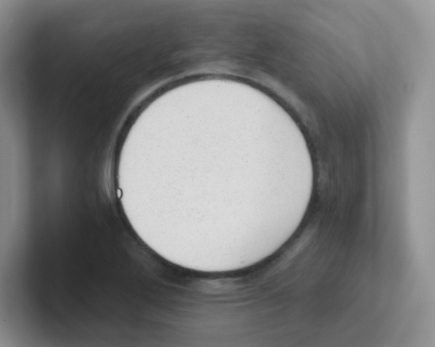X0000101651272200808071107