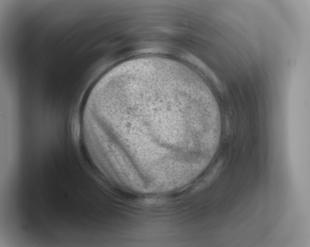 X0000101651274200808071107