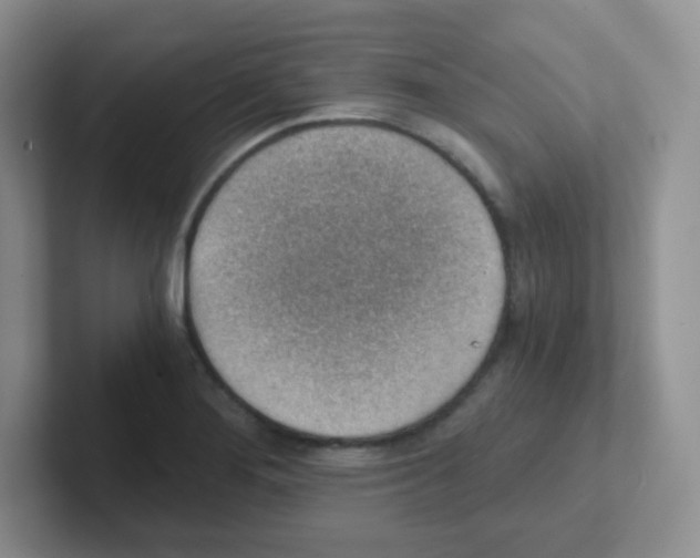 X0000101651276200808071107