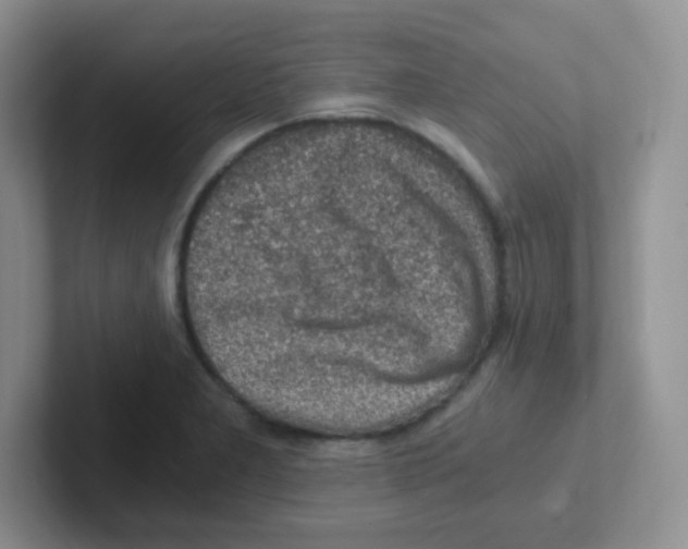X0000101651277200808071107
