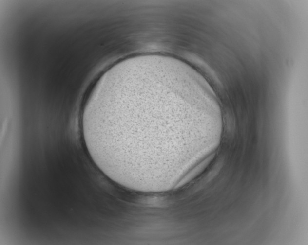 X0000101651278200808071107