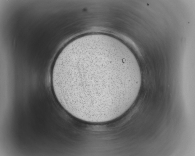 X0000101651280200808071107
