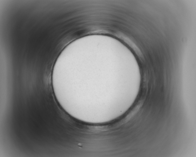 X0000101651281200808071107