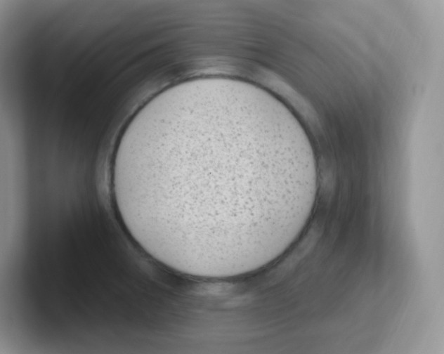 X0000101651282200808071107