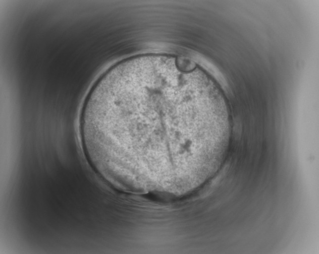 X0000101651283200808071107
