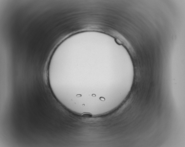 X0000101651284200808071107