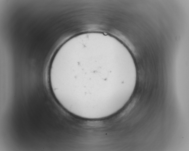 X0000101651285200808071107