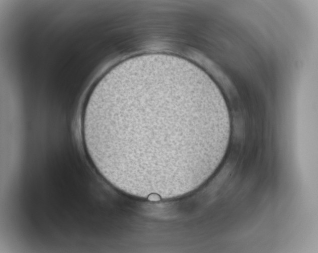 X0000101651286200808071107