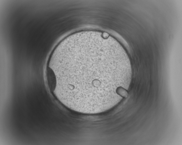 X0000101651287200808071107