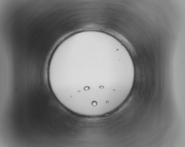 X0000101651288200808071107