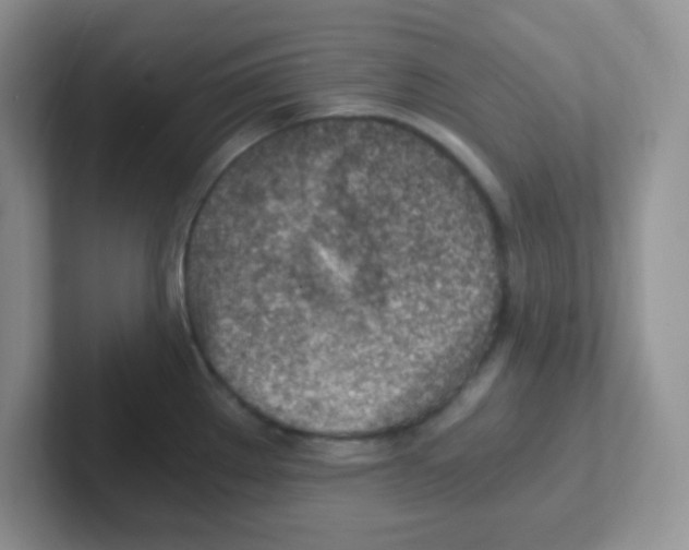 X0000101651289200808071107